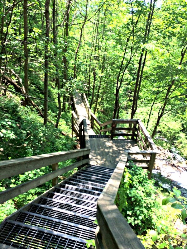 A Weekend In Amicalola Falls State Park