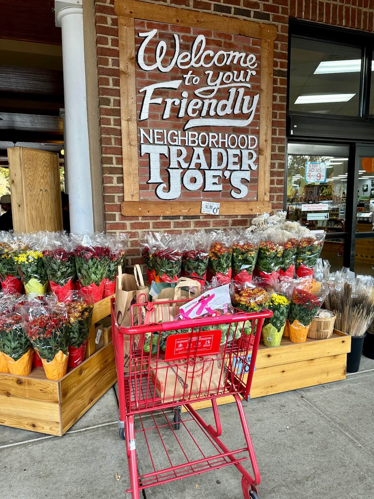 What I Bought At Trader Joes (October 2024) Peanut Butter Runner